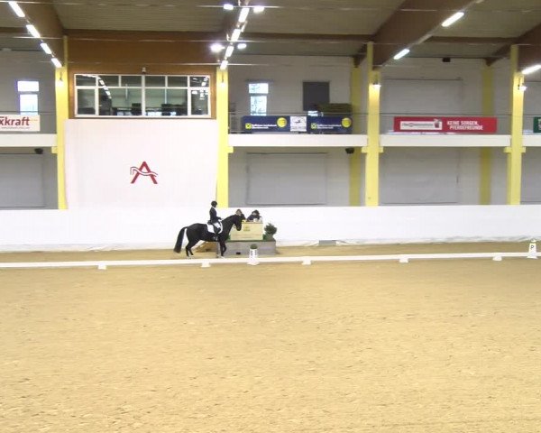 Reitturnier Stadl-Paura 2023