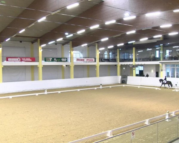 Reitturnier Stadl-Paura 2023