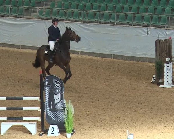 Reitturnier Kreuth/Opf. 2023