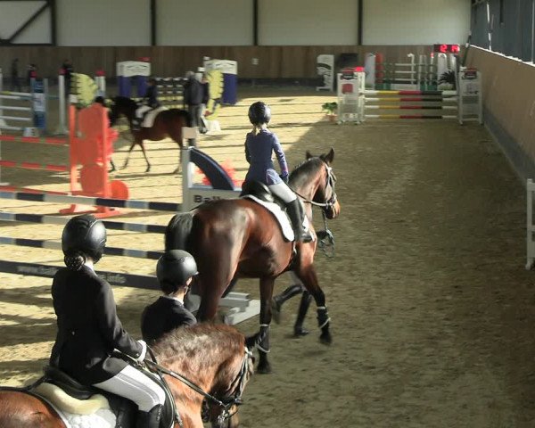 Reitturnier Zwickau 2023