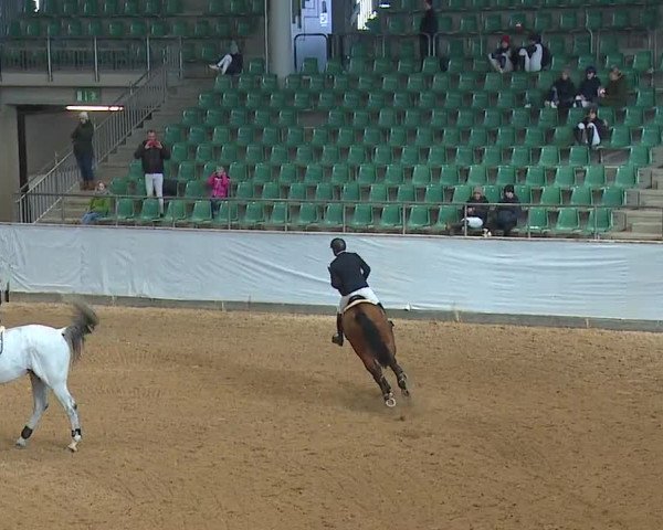 Reitturnier Kreuth/Opf. 2023