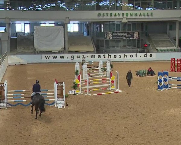 Reitturnier Kreuth/Opf. 2023
