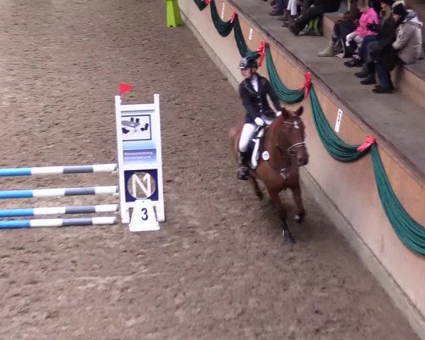 Reitturnier Leck 2023
