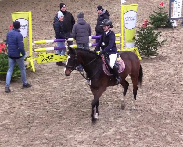 Reitturnier Leck 2023