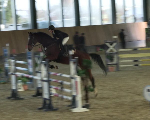 Reitturnier Zwickau 2023
