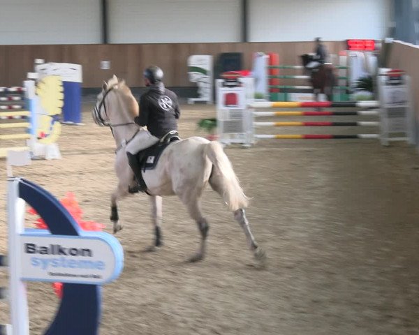Reitturnier Zwickau 2023