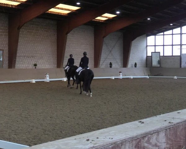 Reitturnier Kamen 2023