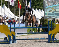 jumper Boleybawn Alvaro (Irish Sport Horse, 2018, from Dominator 2000 Z)