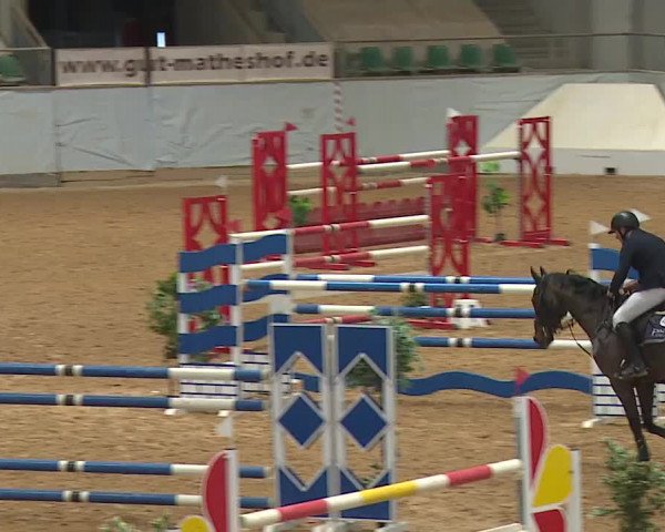 Reitturnier Kreuth/Opf. 2023