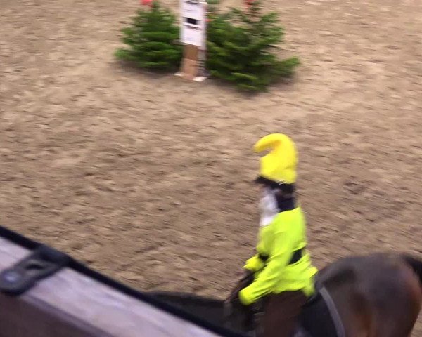 Reitturnier Leck 2023