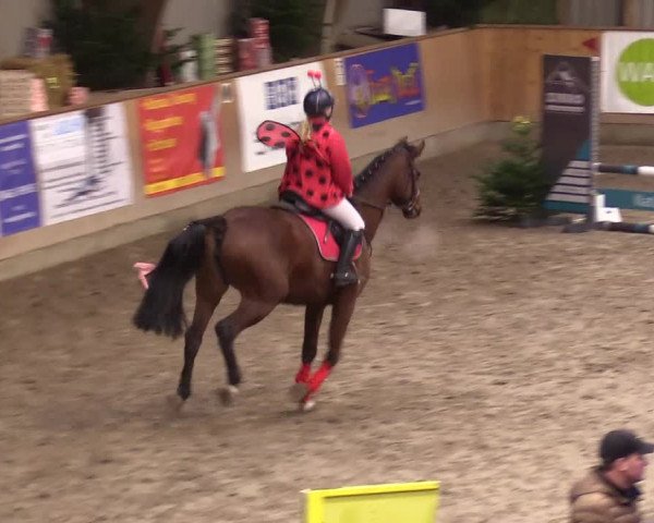 Reitturnier Leck 2023