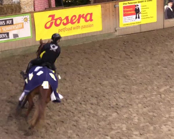 Reitturnier Leck 2023