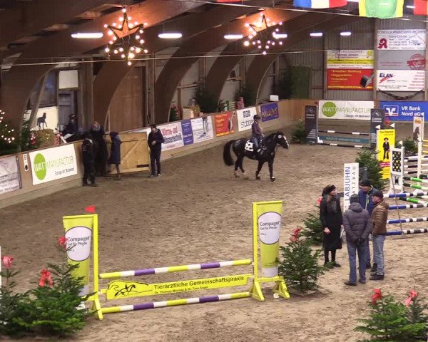 Reitturnier Leck 2023
