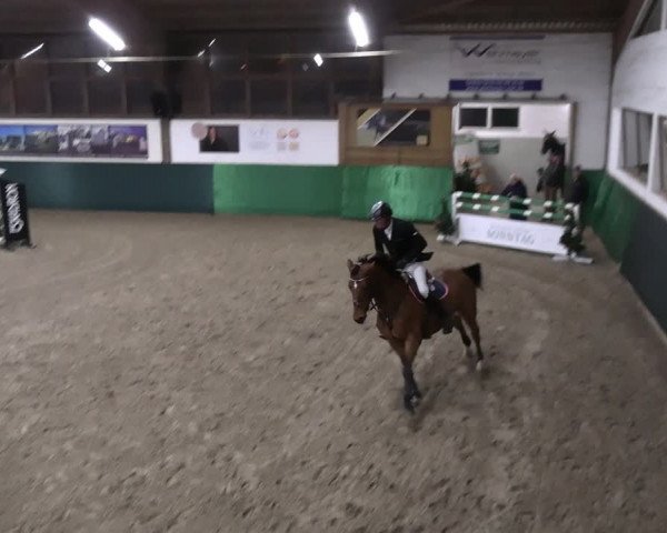Reitturnier Jöllenbeck-Reitanlage Sonntag 2023