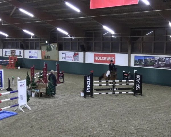 Reitturnier Jöllenbeck-Reitanlage Sonntag 2023
