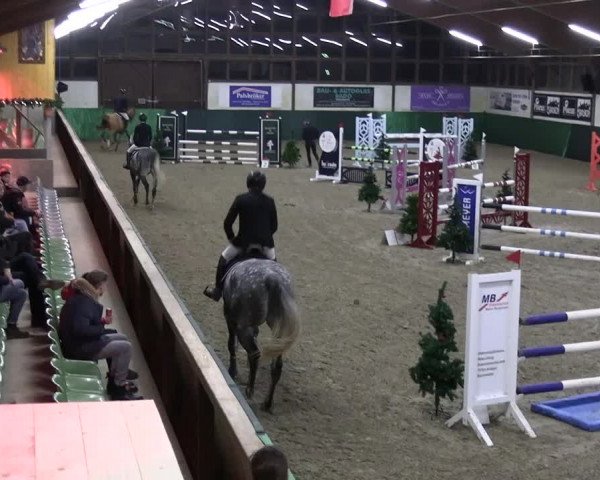 Reitturnier Jöllenbeck-Reitanlage Sonntag 2023