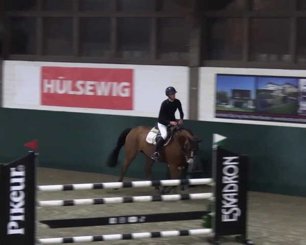 Reitturnier Jöllenbeck-Reitanlage Sonntag 2023