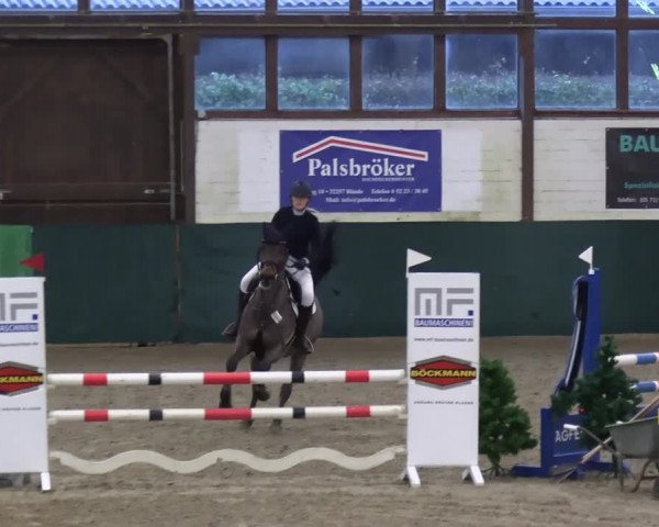 Reitturnier Jöllenbeck-Reitanlage Sonntag 2023