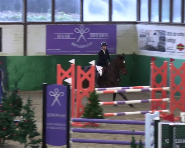 Reitturnier Jöllenbeck-Reitanlage Sonntag 2023