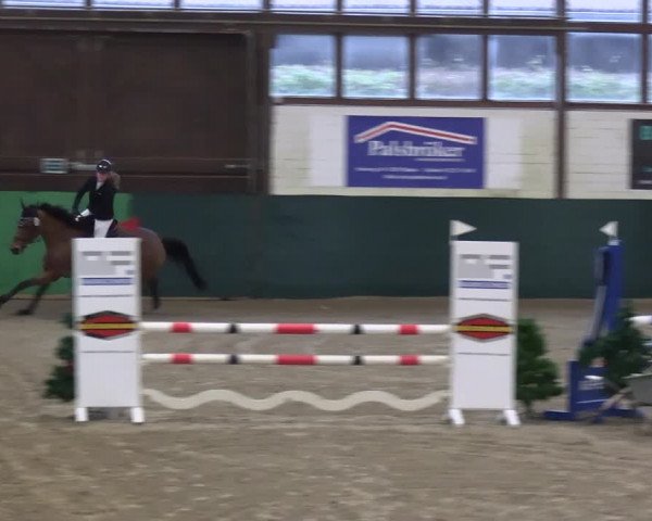 Reitturnier Jöllenbeck-Reitanlage Sonntag 2023