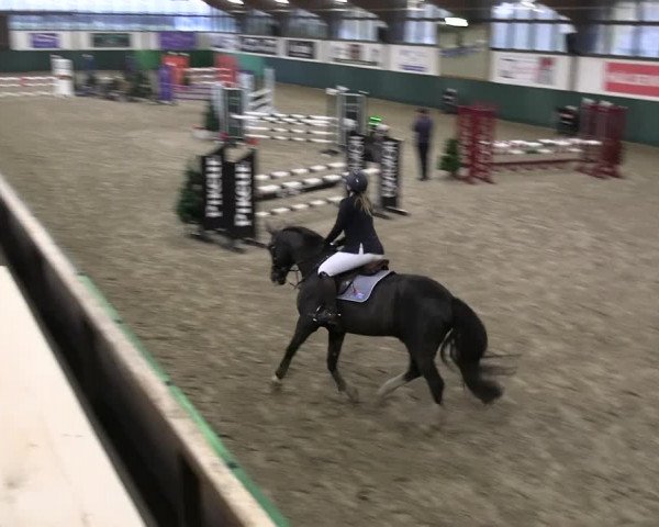 Reitturnier Jöllenbeck-Reitanlage Sonntag 2023