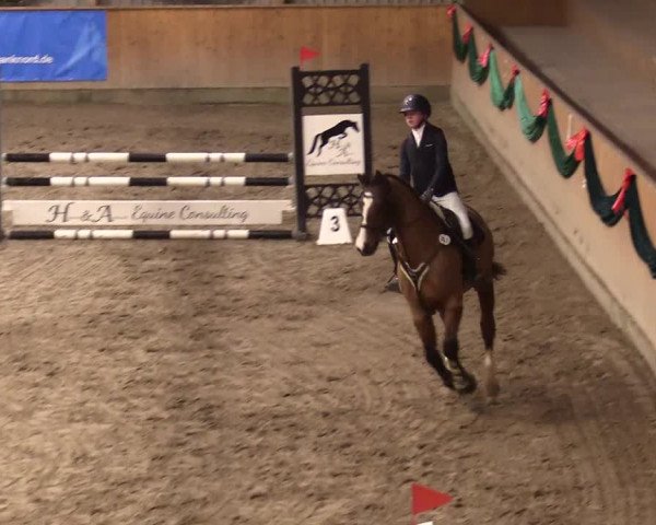 Reitturnier Leck 2023