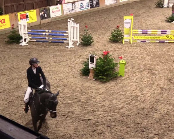 Reitturnier Leck 2023