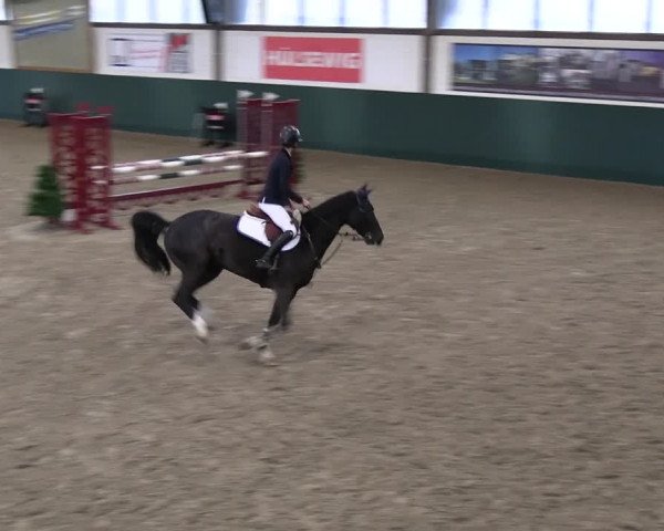 Reitturnier Jöllenbeck-Reitanlage Sonntag 2023
