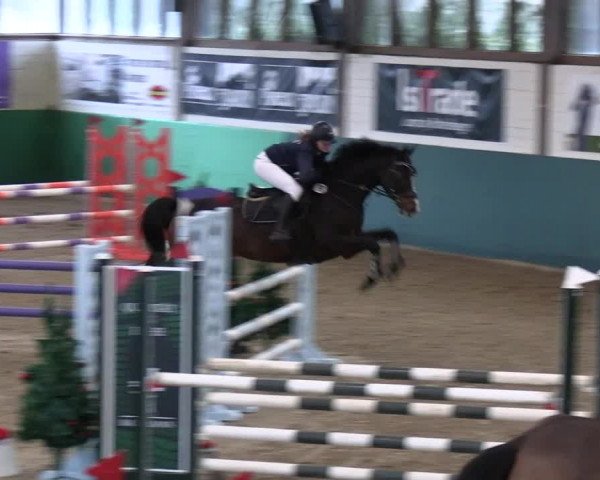 Reitturnier Jöllenbeck-Reitanlage Sonntag 2023