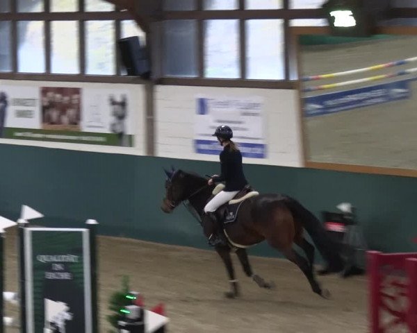 Reitturnier Jöllenbeck-Reitanlage Sonntag 2023