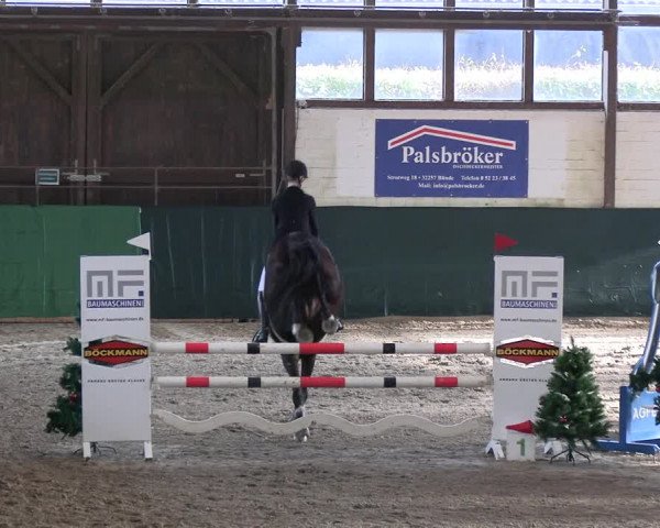 Reitturnier Jöllenbeck-Reitanlage Sonntag 2023