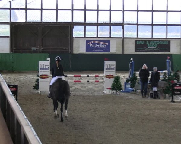 Reitturnier Jöllenbeck-Reitanlage Sonntag 2023