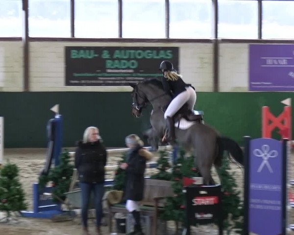 Reitturnier Jöllenbeck-Reitanlage Sonntag 2023