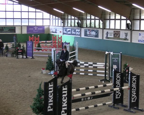 Reitturnier Jöllenbeck-Reitanlage Sonntag 2023
