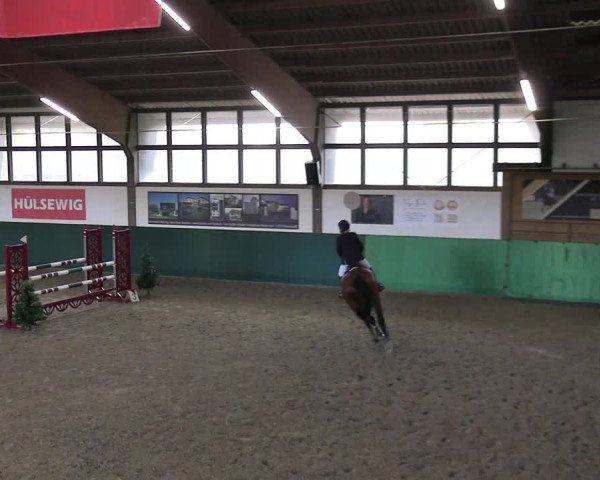 Reitturnier Jöllenbeck-Reitanlage Sonntag 2023