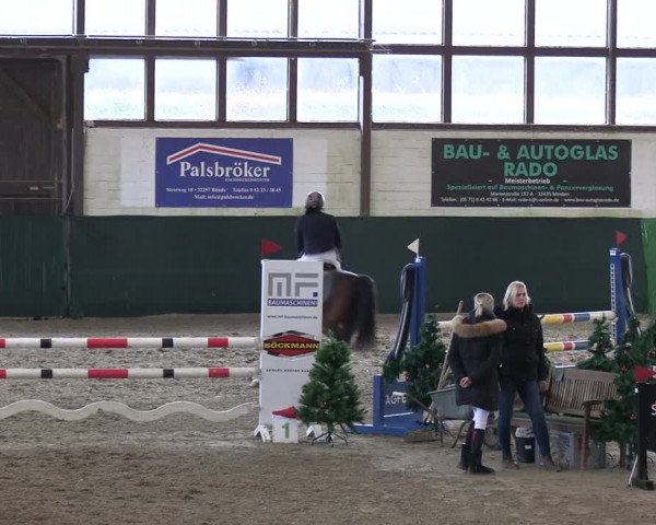 Reitturnier Jöllenbeck-Reitanlage Sonntag 2023