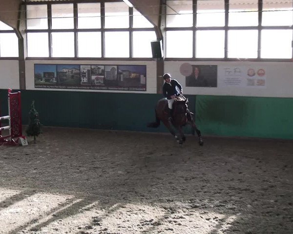 Reitturnier Jöllenbeck-Reitanlage Sonntag 2023