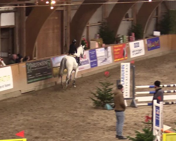 Reitturnier Leck 2023