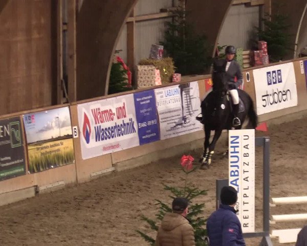 Reitturnier Leck 2023