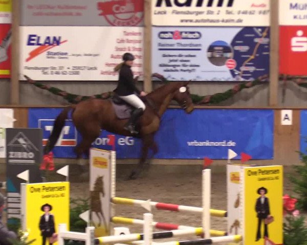 Reitturnier Leck 2023