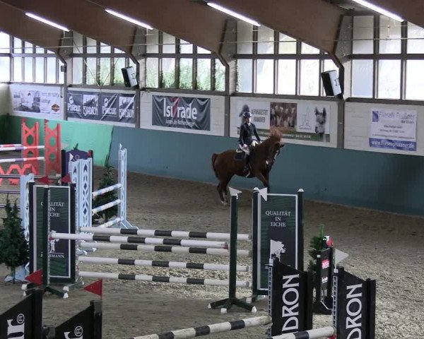 Reitturnier Jöllenbeck-Reitanlage Sonntag 2023