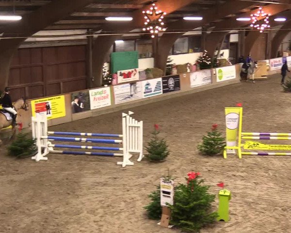 Reitturnier Leck 2023