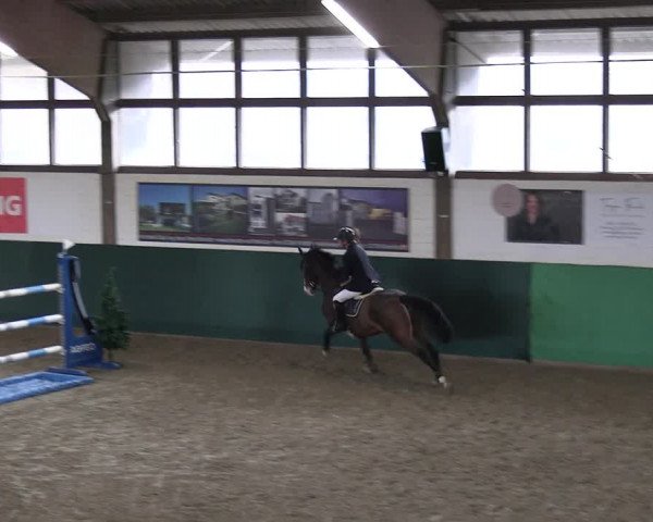 Reitturnier Jöllenbeck-Reitanlage Sonntag 2023