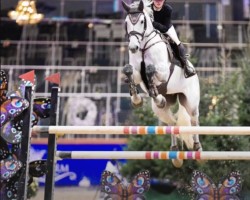 jumper Jaguar de Nogales (Portuguese Sporthorse, 2014, from Hermes Boy)