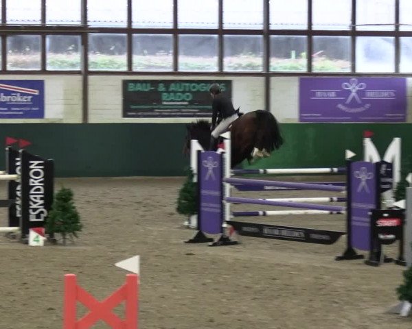 Reitturnier Jöllenbeck-Reitanlage Sonntag 2023