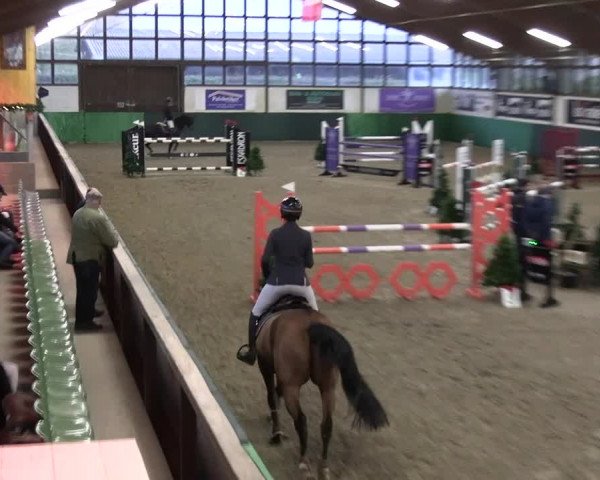 Reitturnier Jöllenbeck-Reitanlage Sonntag 2023
