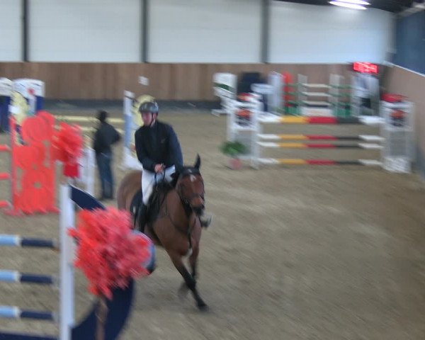 Reitturnier Zwickau 2023