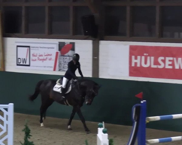 Reitturnier Jöllenbeck-Reitanlage Sonntag 2023