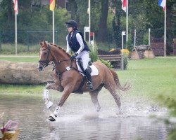 dressage horse Spotify 10 (Hanoverian, 2018, from Secret)