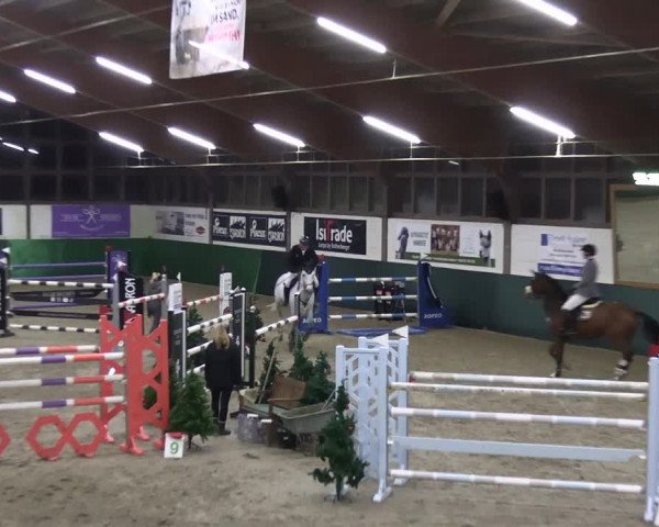 Reitturnier Jöllenbeck-Reitanlage Sonntag 2023